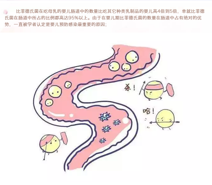31798c497dbc72f6920015cd7e1d46a9.png